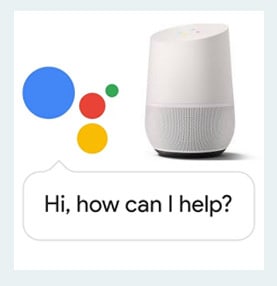 google home business Georgetown TX
