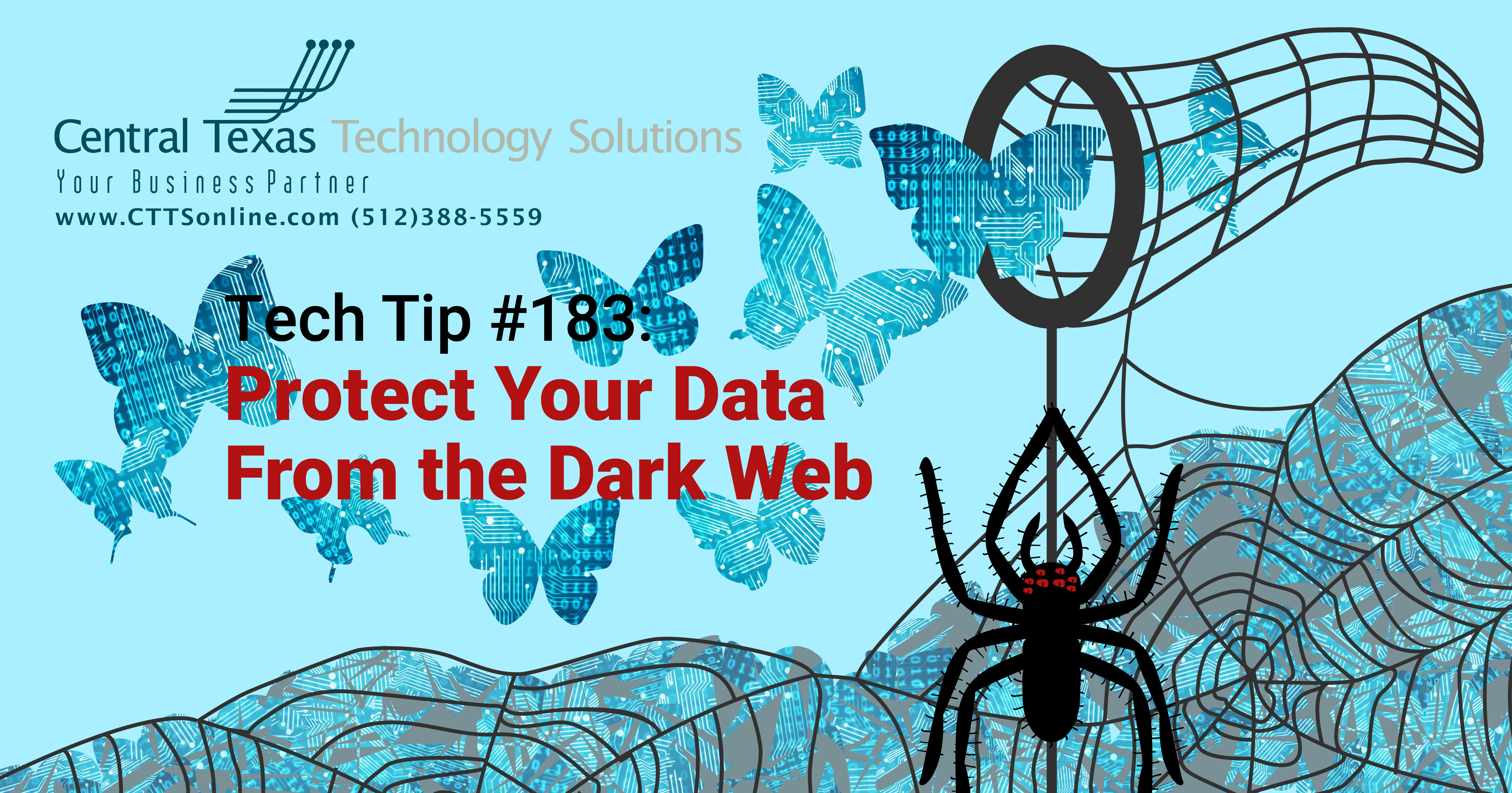 stop the dark web from stealing data