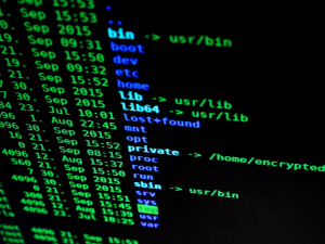 Boost Your Business: Proactive Cybersecurity Measures in Action