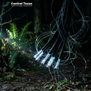 Cut Fiber Optic Cables